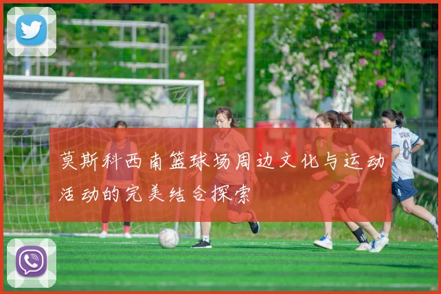 莫斯科西南篮球场周边文化与运动活动的完美结合探索