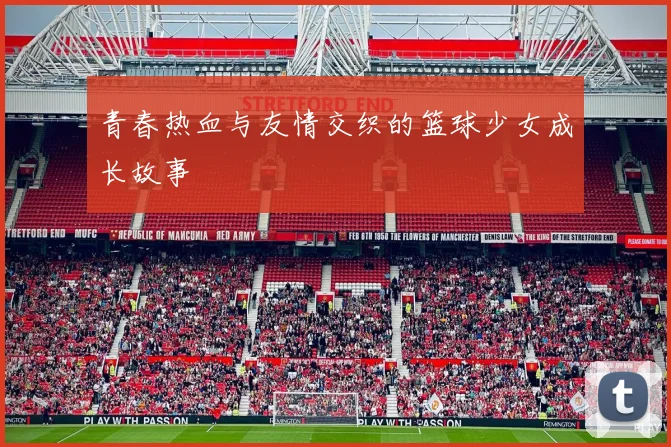 青春热血与友情交织的篮球少女成长故事