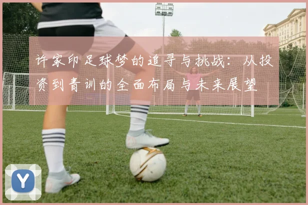许家印足球梦的追寻与挑战：从投资到青训的全面布局与未来展望