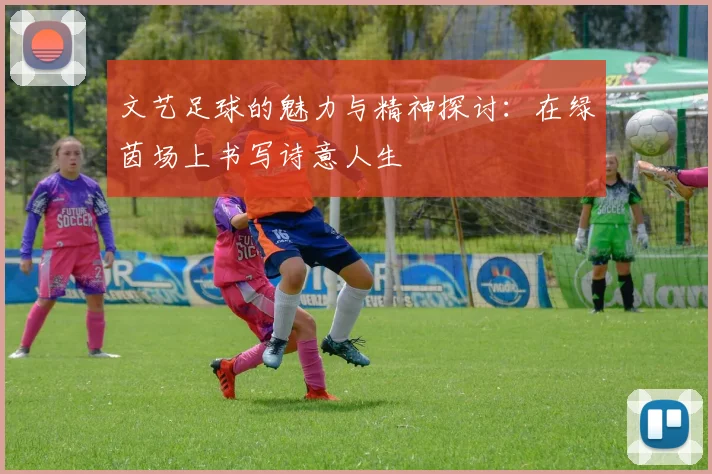 文艺足球的魅力与精神探讨：在绿茵场上书写诗意人生