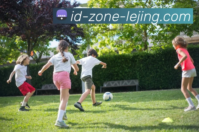 App Interface Preview